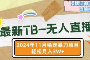 【最新TB-无人直播】11月最新，打造你的日不落直播间，轻松月入过W【揭秘】