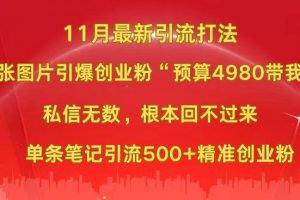 小红书11月最新图片打法，一张图片引爆创业粉“预算4980带我飞”，私信无数，根本回不过来，单条笔记引流500+精准创业粉