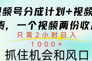 视频号橱窗带货， 10分钟一个视频， 2份收益，日入1000+