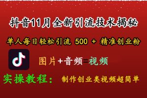 抖音11月全新引流技术，图片+视频 就能轻松制作创业类视频，单人每日轻松引流500+精准创业粉