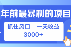 年前最赚钱的项目之一，可以过个肥年