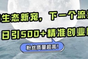 微信生态新宠小绿书：下一个流量洼地，日引500+精准创业粉，粉丝质量超高