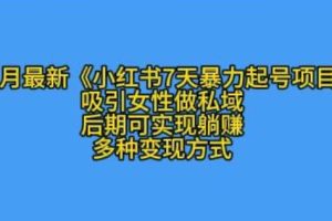 K总部落11月最新小红书7天暴力起号项目，吸引女性做私域【揭秘】