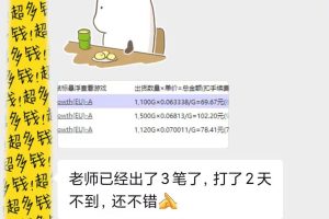 （13410期）游戏全自动无脑搬砖，每天收益1000+ 长期稳定的项目