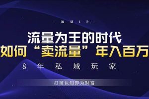 （13433期）未来如何通过“卖流量”年入百万，跨越一切周期绝对蓝海项目