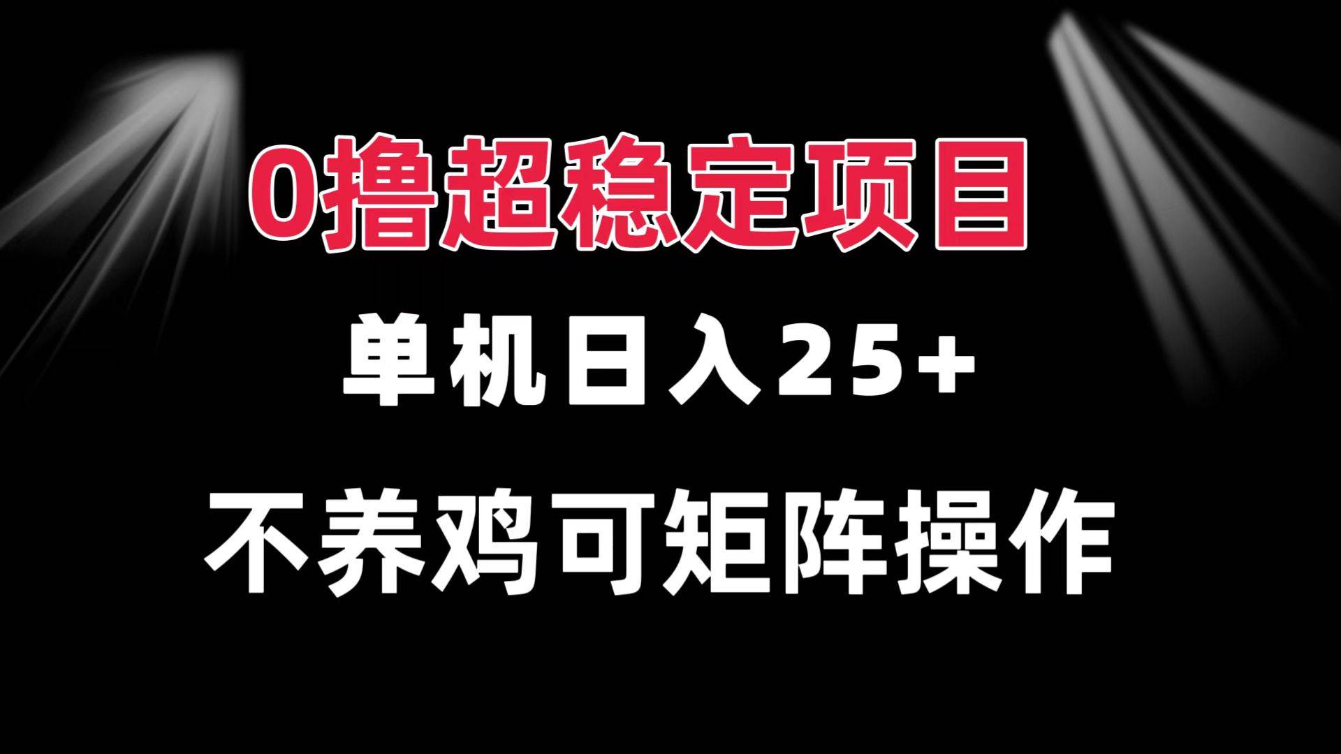 （13355期）0撸项目 单机日入25+ 可批量操作 无需养鸡 长期稳定 做了就有插图