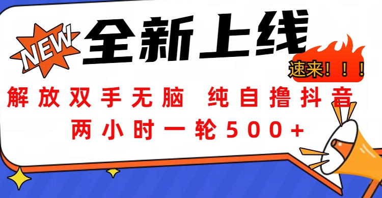 解放双手无脑 纯自撸抖音 两小时一轮500+插图