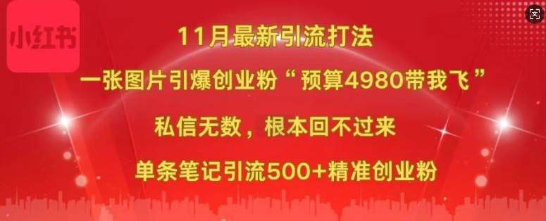 小红书11月最新图片打粉，一张图片引爆创业粉，“预算4980带我飞”，单条引流500+精准创业粉插图