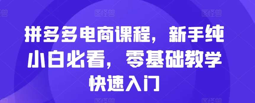 拼多多电商课程，新手纯小白必看，零基础教学快速入门插图