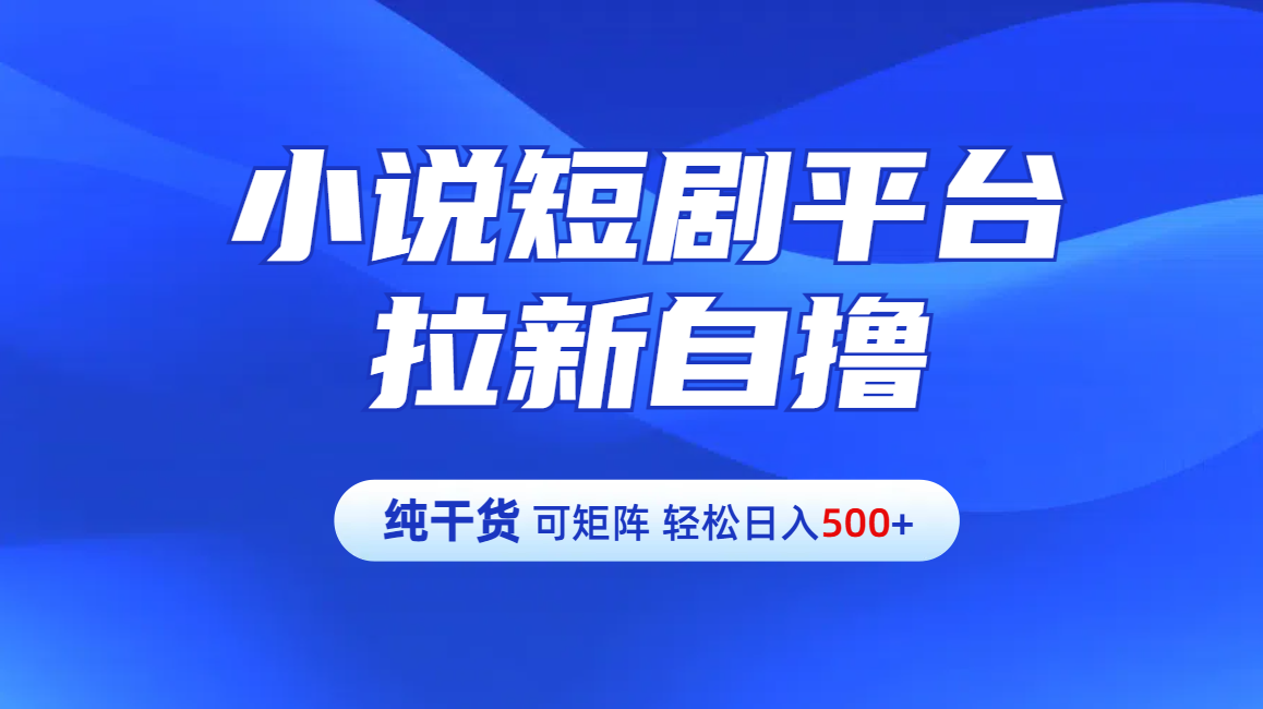 【纯干货】小说短剧平台拉新自撸玩法详解-单人轻松日入500+插图