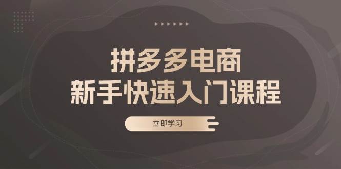 （13289期）拼多多电商新手快速入门课程：涵盖基础、实战与选款，助力小白轻松上手插图