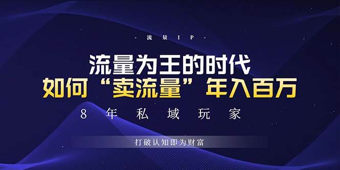 （13433期）未来如何通过“卖流量”年入百万，跨越一切周期绝对蓝海项目插图