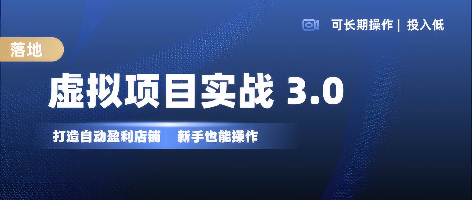 虚拟项目实操落地 3.0,新手轻松上手，单品月入1W+插图