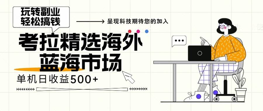 （13191期）海外全新空白市场，小白也可轻松上手，年底最后红利插图